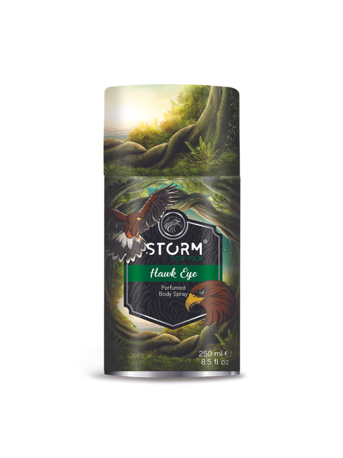 DESODORANTE CORPORAL STORM 250 ML